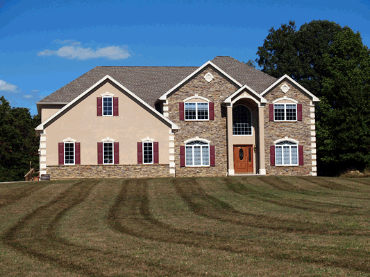 Examples of Brickote, Inc. jobs